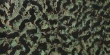 Декоративная штукатурка Океания